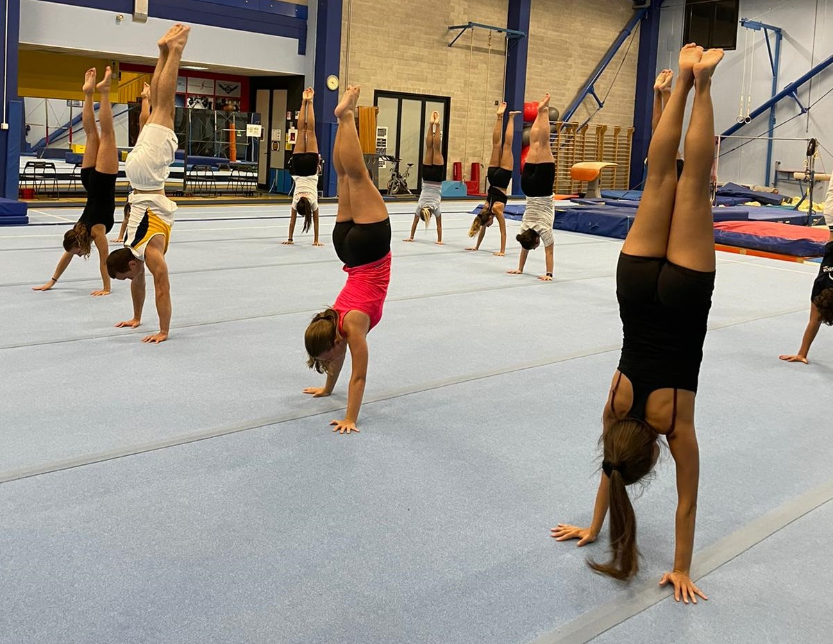 Acrobatica adulti Palestra Ginnastica Ferrara