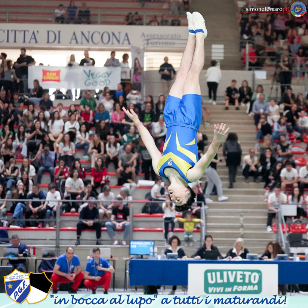 Foto Simone Ferrara Ph per Federazione Ginnastica d'Italia che riprende Pietro Miserti al Corpo Libero